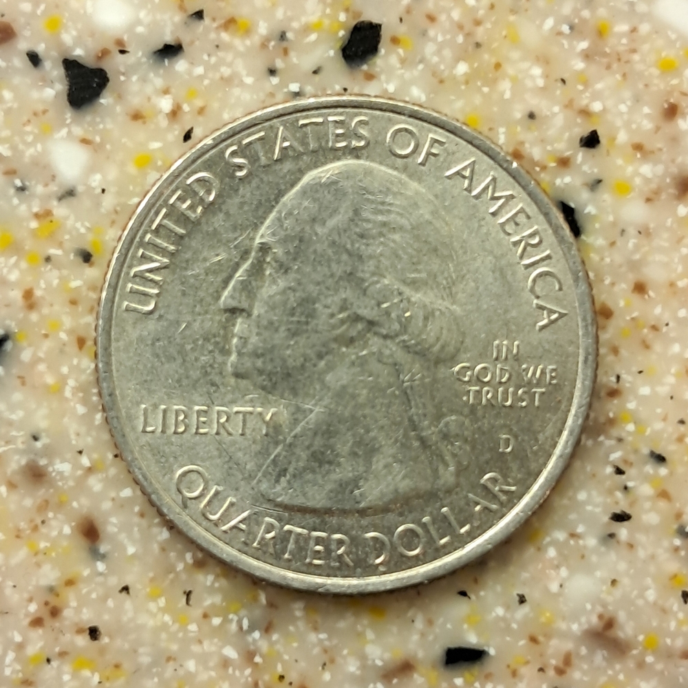 United States Quarter Dollar Coin